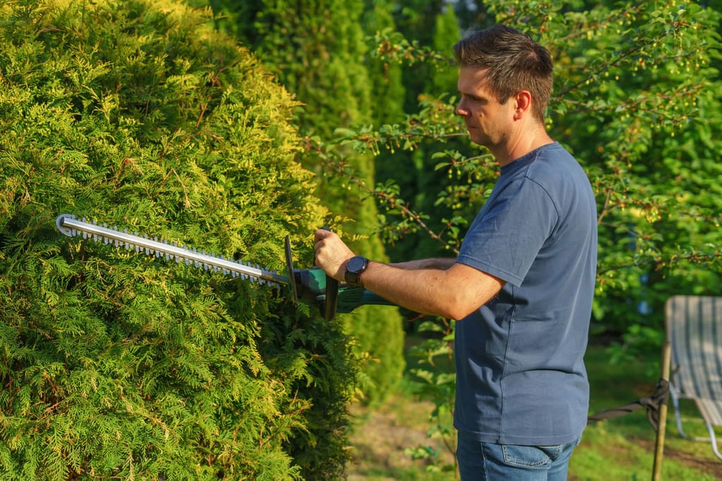 Landscaper trimming a hedge with a power trimmer in a sunny garden